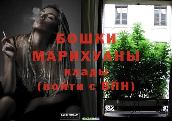 гидропоника Богданович