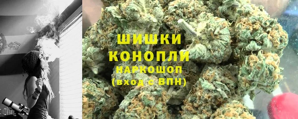 гидропоника Богданович