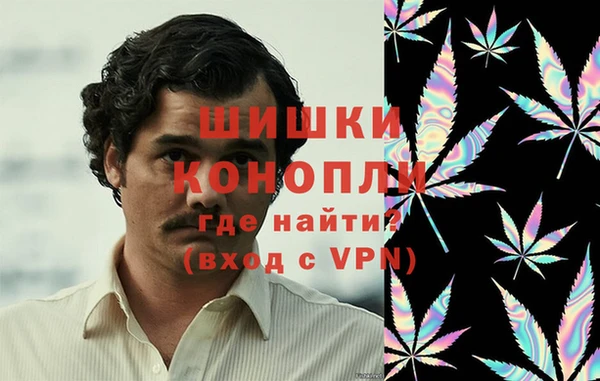 гидропоника Богданович