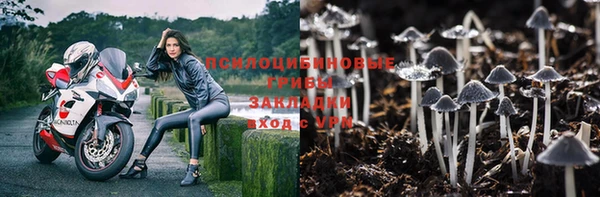 мдма Богородицк