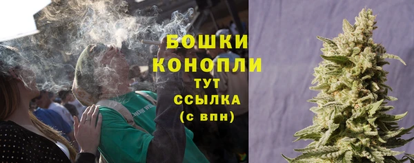 соль ск Богородск